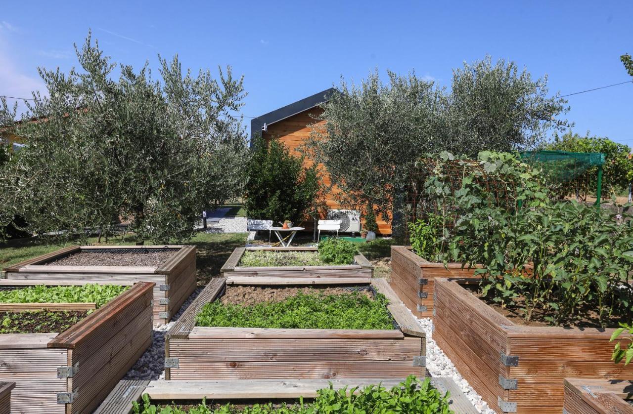Hotel Healthy House Glamping Koper Exteriér fotografie
