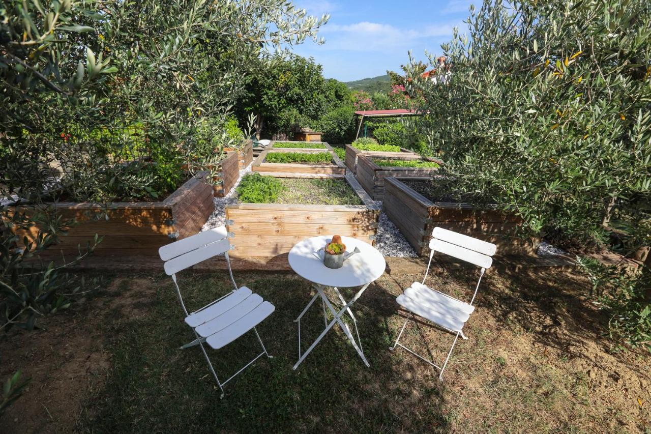 Hotel Healthy House Glamping Koper Exteriér fotografie