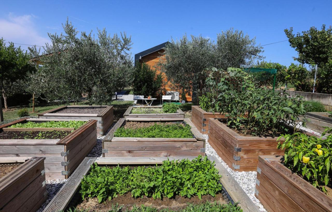 Hotel Healthy House Glamping Koper Exteriér fotografie